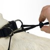 Beeztees Hundegeschirr Gentle Walker schwarz Abbildung 4