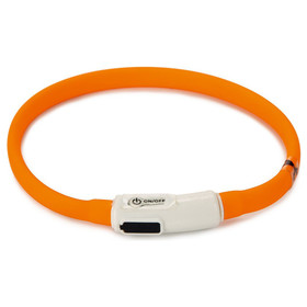 Abbildung Beeztees Hundehalsband Safety Gear Dogini USB orange