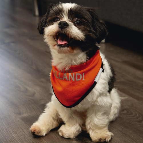 weitere Abbildung Beeztees Hundehalstuch Hup Holland