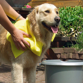 Abbildung Beeztees Hundehandtuch gelb