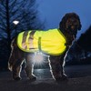 Beeztees Hundemantel Teddie, reflektierend gelb Abbildung 3