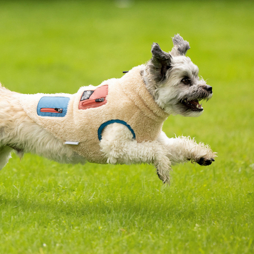 weitere Abbildung Beeztees Hundemantel Teddy beige