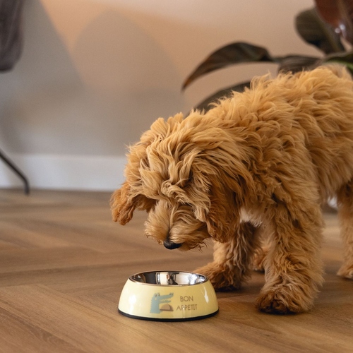 weitere Abbildung Beeztees Hundenapf Puppy Droppy Kunststoff/Edelstahl gelb