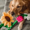 Beeztees Hundespielzeug Blumen Plüsch Sonnenblume Sunny gelb Abbildung 2