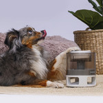 Hundespielzeug Brain Game Delicious, Abbildung 8