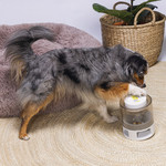 Hundespielzeug Brain Game Delicious, Abbildung 7