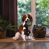 Beeztees Hundespielzeug Dschungel Mats aus Plüsch braun Abbildung 3