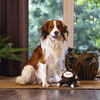 Beeztees Hundespielzeug Dschungel Mats aus Plüsch braun Abbildung 4