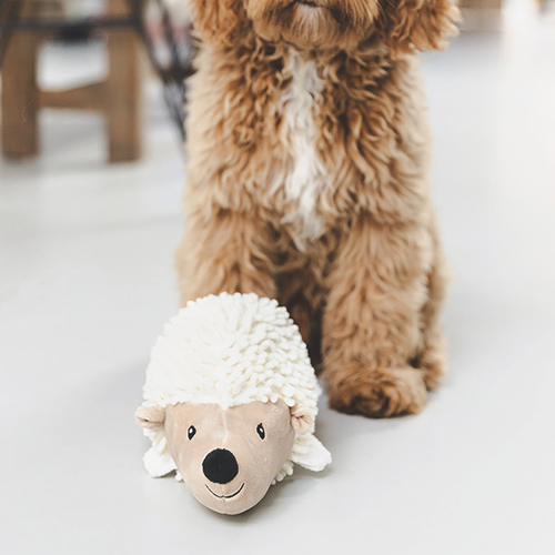 weitere Abbildung Beeztees Hundespielzeug Eco Igel Ittie beige