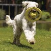 Beeztees Hundespielzeug Fetch Frisbee Tof gelb Abbildung 5
