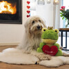 Beeztees Hundespielzeug Froschkönig aus Plüsch grün Abbildung 2
