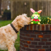Beeztees Hundespielzeug Kaninchen-Ei Titi Plüsch Abbildung 2