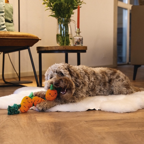 weitere Abbildung Beeztees Hundespielzeug Osterkarotte mit Baumwollseil grn