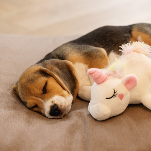 weitere Abbildung Beeztees Hundespielzeug Puppy Einhorn Owen wei