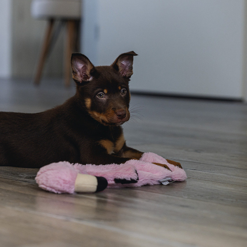 weitere Abbildung Beeztees Hundespielzeug Puppy Flatino Flamingo Fe rosa