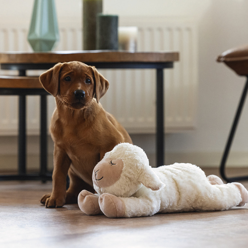 weitere Abbildung Beeztees Hundespielzeug Puppy Herzschlag Bowi