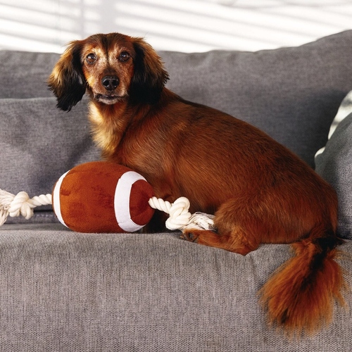 weitere Abbildung Beeztees Hundespielzeug Rugbyball mit Seil braun aus Plsch