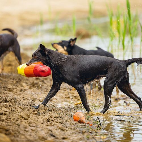 weitere Abbildung Beeztees Hundespielzeug Wassereis Neopren