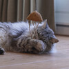 Beeztees Katzenangel Catnip/Matatabi Oktopus Abbildung 4