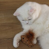 Beeztees Katzenspielzeug Catnip Fisch Sadie aus Plüsch braun Abbildung 4