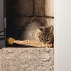 Beeztees Katzenspielzeug Dschungel Giraffenschwanz braun Abbildung 2