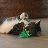 Beeztees Katzenspielzeug Dschungel Palme braun/grün Abbildung 5