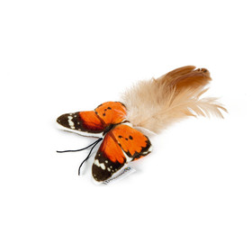 Abbildung Beeztees Katzenspielzeug Fligo Schmetterling orange