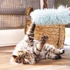 Beeztees Katzenspielzeug Kitten Kicker Hailey aus Plüsch grün Abbildung 5