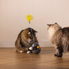 Beeztees Katzenspielzeug Wibol interaktiv Abbildung 4