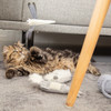Beeztees Kitten Katzenangel Libelle Abbildung 3