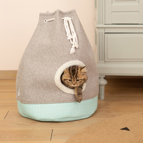 weitere Abbildung Beeztees Kitten Katzenhaus Flo
