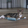 Beeztees Kitten Katzenspielzeug Lola blau Abbildung 5