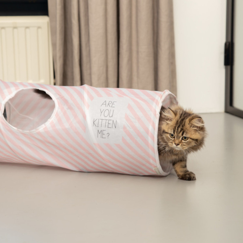 weitere Abbildung Beeztees Kitten Spieltunnel Nini