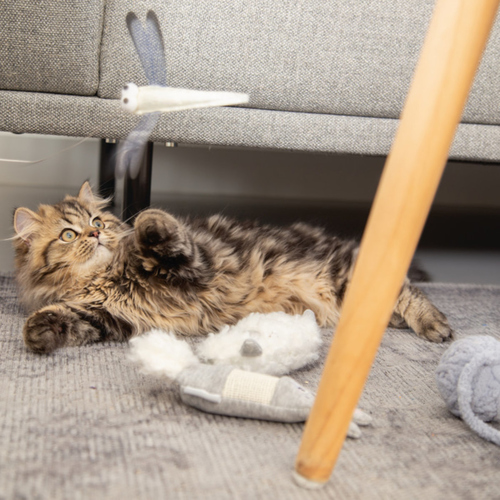 weitere Abbildung Beeztees Kitten Spielzeug Hase