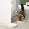 Beeztees Kitten Trinknapf Zina Abbildung 3