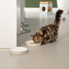 Beeztees Kitten Trinknapf Zina Abbildung 4