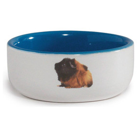 Beeztees Meerschweinchen-Napf Keramik blau