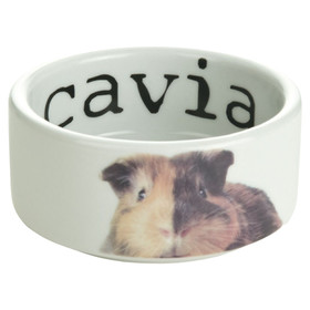 Beeztees Meerschweinchen-Napf Snapshot Keramik