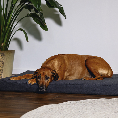 weitere Abbildung Beeztees Memory Foam Liegekissen Zira dunkelgrau