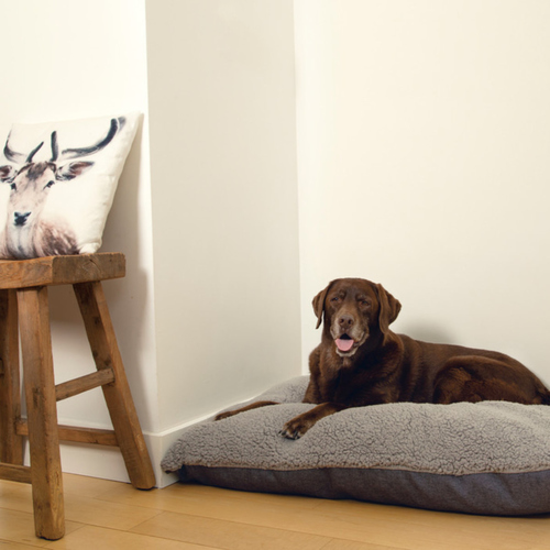 weitere Abbildung Beeztees Memory Foam Lounge Kissen Ruba grau
