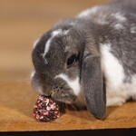 Nagersnack Kegel mit Rote Bete und Pastinake, Abbildung 41