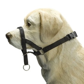 Abbildung Beeztees Nasenband Dog Control schwarz