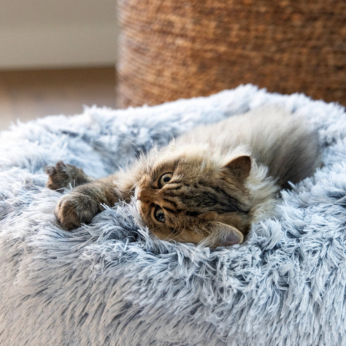weitere Abbildung Beeztees Orthopdisches Katzenbett Siba grau