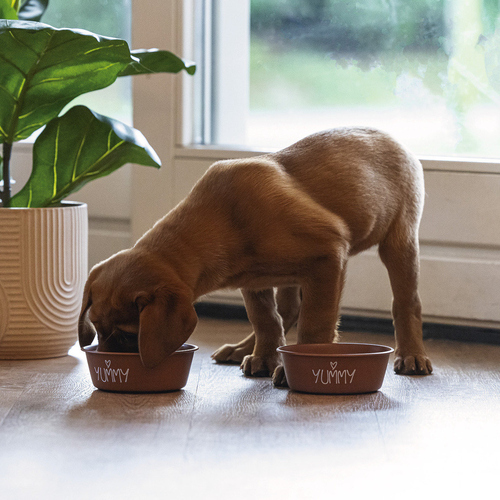 weitere Abbildung Beeztees Puppy Edelstahl-Napf Snoes terrakotta