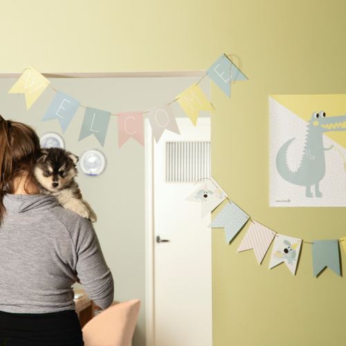 weitere Abbildung Beeztees Puppy Papierflaggen - 15er Pack
