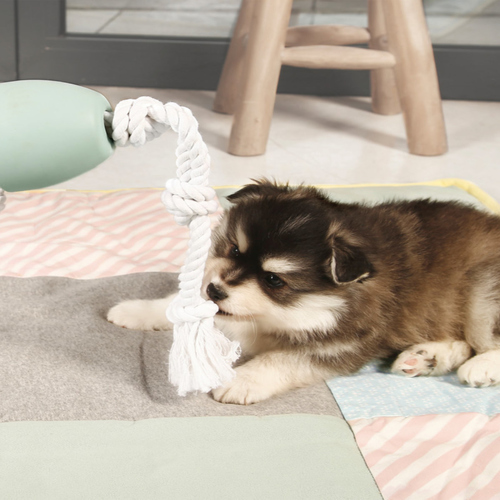 weitere Abbildung Beeztees Puppy Spielzeug Zerrspielzeug mint