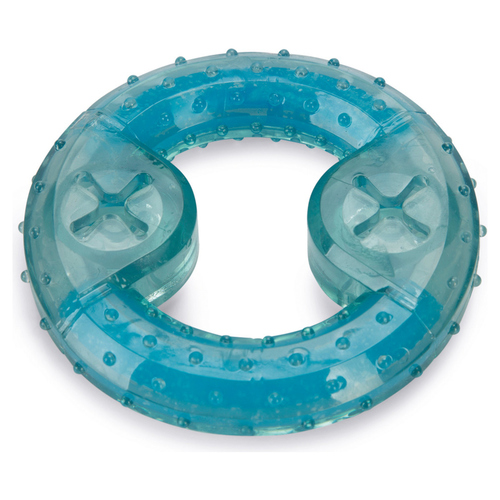 Beeztees Puppy TPR Kühlbeissring Lou mint