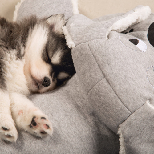 Beeztees Puppy XL-Kuschelspielzeug Boomba grau