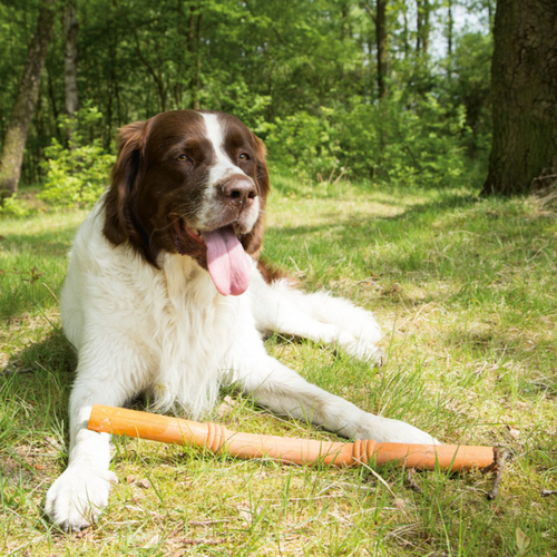 weitere Abbildung Beeztees Sumo Fit Stick orange