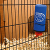 Beeztees Thermoschutz für Trinkflasche blau Abbildung 4